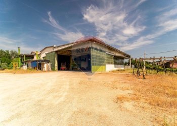 Capannone Via Nazionale, 77 
 Baldichieri d'Asti, Baldichieri d'Asti - foto 47