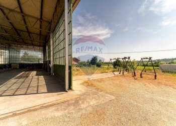 Capannone Via Nazionale, 77 
 Baldichieri d'Asti, Baldichieri d'Asti - foto 49