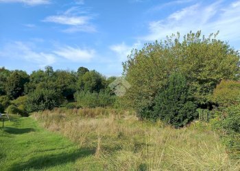 Casa semi indipendente Via Asti, Costigliole d'Asti - foto 46