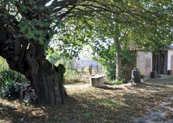 Casa semi indipendente Via Asti, Costigliole d'Asti - foto 44