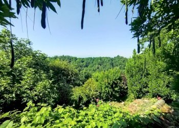 Casa indipendente Clavesana - foto 22