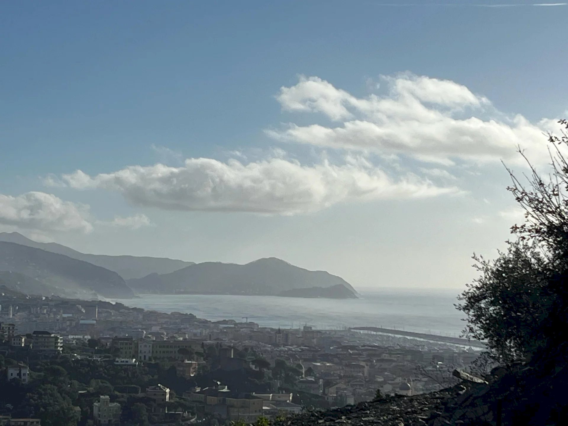 Vista - Attic Chiavari - photo 2