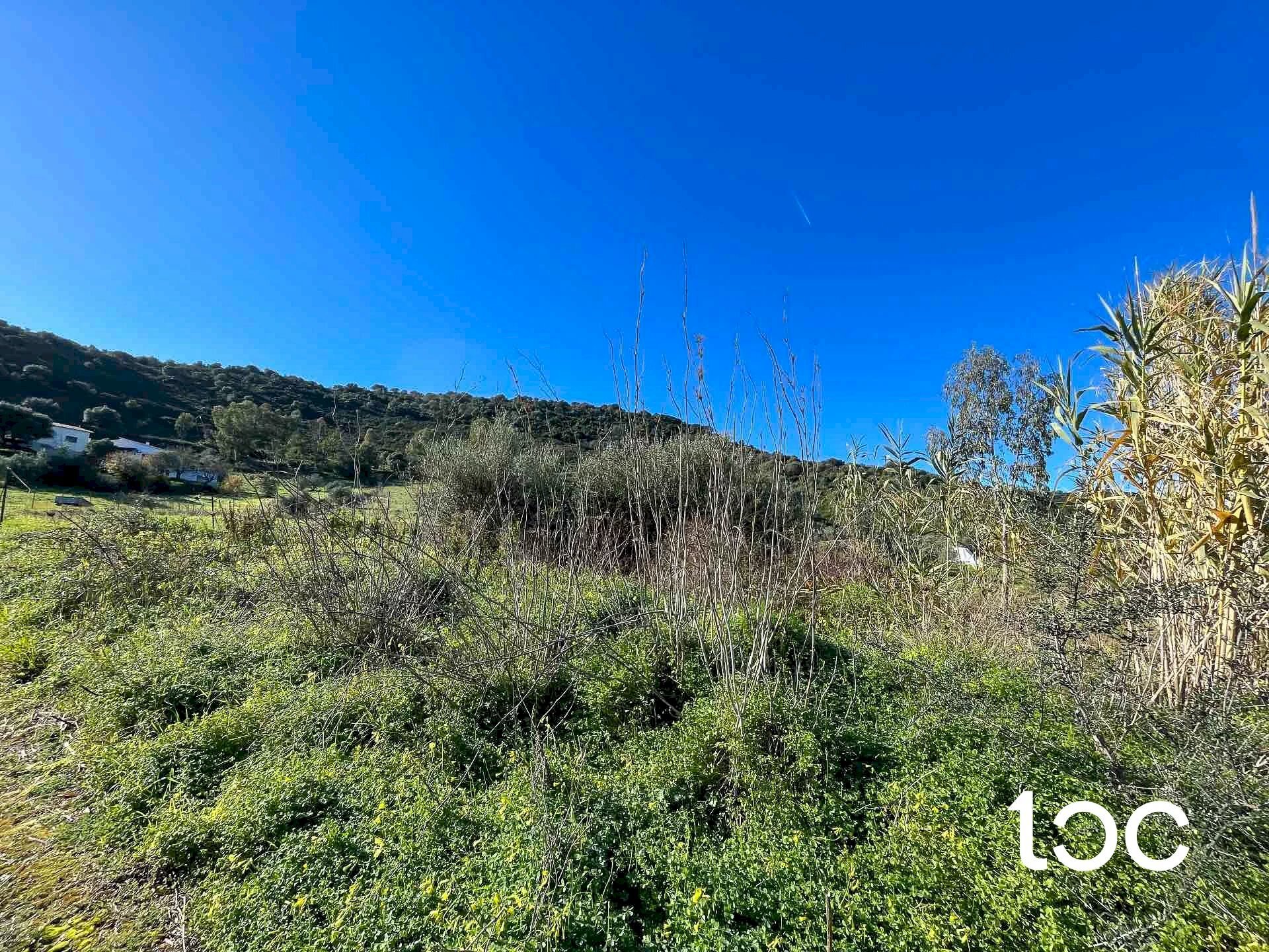 Terreno edificabile Budoni - foto 3