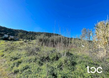 Terreno edificabile Budoni - foto 3