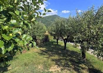 Rustico San Marcello Piteglio - foto 11