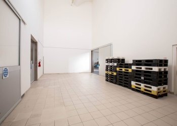 Capannone Carpi - foto 3