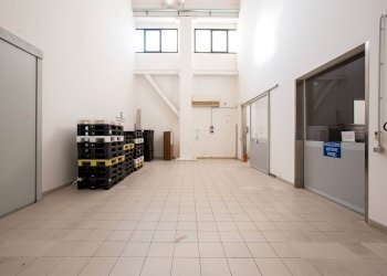 Capannone Carpi - foto 4