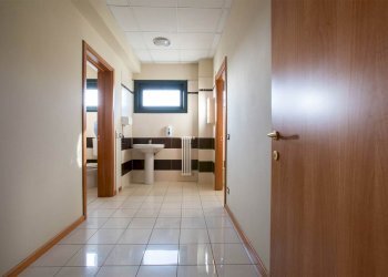 Capannone Carpi - foto 7