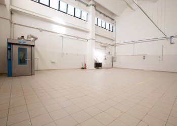 Capannone Carpi - foto 18