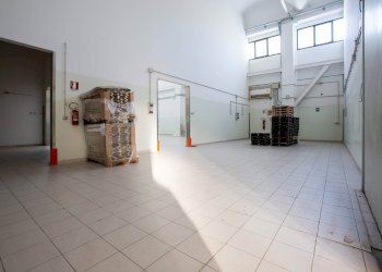 Capannone Carpi - foto 26