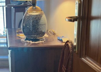 Foto 12 - Casa indipendente Monteleone di Spoleto - foto 12