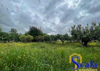 Foto 39 - Casa indipendente VIA MARCHESE, Pastorano - foto 39