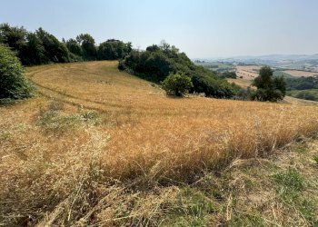 Foto 5 - Rustico via Castello
 
snc, Ponzano di Fermo - foto 5