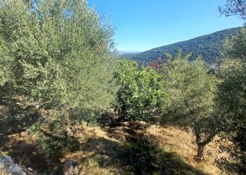 Foto 29 - Semi-detached house Vettia, Amaseno - photo 29