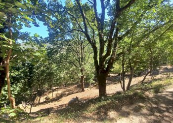 Foto 32 - Semi-detached house Vettia, Amaseno - photo 32