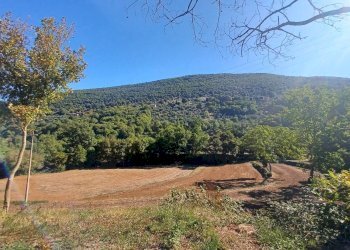 Foto 34 - Semi-detached house Vettia, Amaseno - photo 34