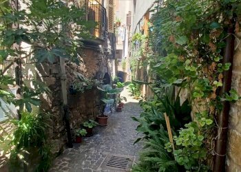 Foto 34 - Appartamento Via Vicolo Giglio, Vallecorsa - foto 34