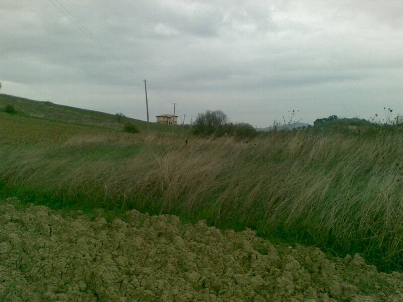 Foto 3 - Agricultural land Via dei Morelli, Sant'Omero - photo 3