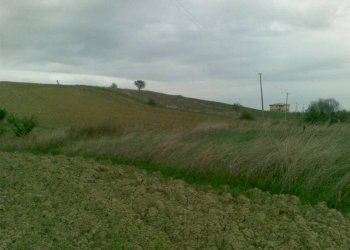 Foto 4 - Agricultural land Via dei Morelli, Sant'Omero - photo 4