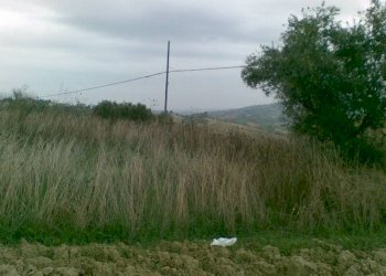 Foto 5 - Agricultural land Via dei Morelli, Sant'Omero - photo 5