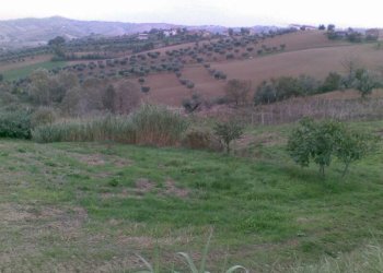 Foto 6 - Agricultural land Via dei Morelli, Sant'Omero - photo 6