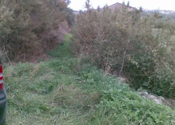 Foto 7 - Agricultural land Via dei Morelli, Sant'Omero - photo 7