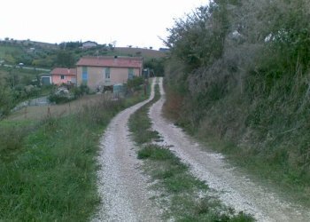 Foto 9 - Agricultural land Via dei Morelli, Sant'Omero - photo 9
