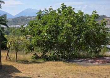 Foto 9 - Terreno edificabile Via Guido Gozzano, Castellalto - foto 9