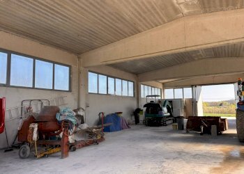 Foto 5 - Capannone via croce di guerro, Chiaravalle - foto 5