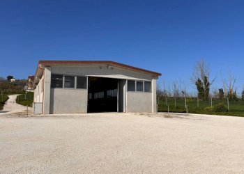 Foto 7 - Capannone via croce di guerro, Chiaravalle - foto 7