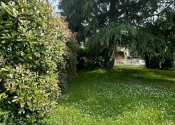 Foto 3 - Independent house Via Papa Giovanni XXIII, Orio al Serio - photo 3