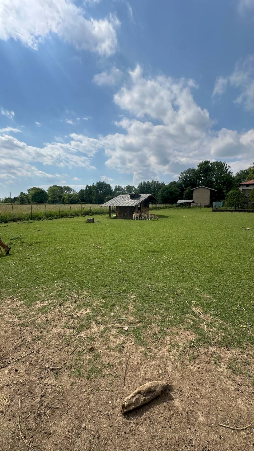 Foto 2 - Building land VIa Papa Giovanni XXIII, Orio al Serio - photo 2