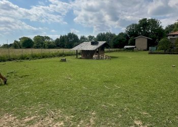 Foto 2 - Terreno edificabile VIa Papa Giovanni XXIII, Orio al Serio - foto 2