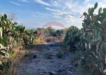 Vista delle montagne - Terreno agricolo Contrada Fossa Creta
snc, Paterno - foto 7