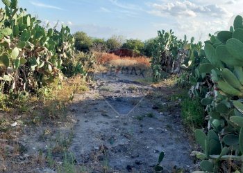 Giardino - Terreno agricolo Contrada Fossa Creta
snc, Paterno - foto 9