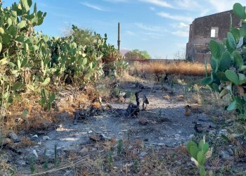 Giardino - Terreno agricolo Contrada Fossa Creta
snc, Paterno - foto 12