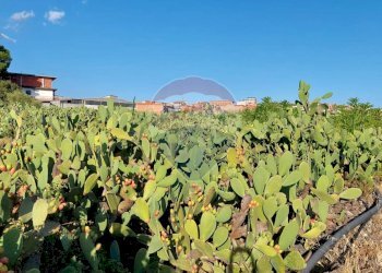 Giardino - Terreno agricolo Contrada Fossa Creta
snc, Paterno - foto 15