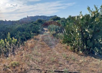 Vista delle montagne - Terreno agricolo Contrada Fossa Creta
snc, Paterno - foto 16