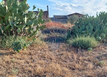 Vista delle montagne - Terreno agricolo Contrada Fossa Creta
snc, Paterno - foto 18