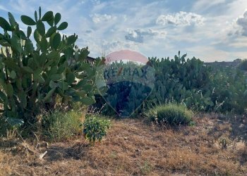 Giardino - Terreno agricolo Contrada Fossa Creta
snc, Paterno - foto 19