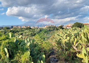 Vista delle montagne - Terreno agricolo Contrada Fossa Creta
snc, Paterno - foto 21