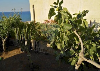 Giardino - Villa via delle calendule, Alcamo - foto 16