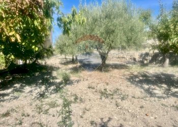 Giardino - Casa indipendente Consorziale san Giacomo Piane Pozzi
 
35, Modica - foto 8