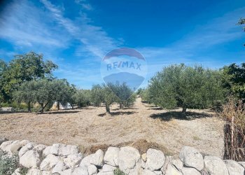 Giardino - Casa indipendente Consorziale san Giacomo Piane Pozzi
 
35, Modica - foto 21