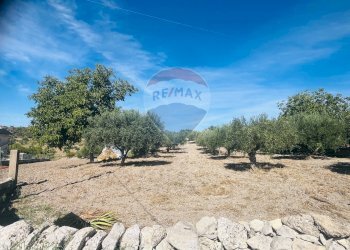 Giardino - Casa indipendente Consorziale san Giacomo Piane Pozzi
 
35, Modica - foto 22