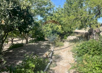 Giardino - Casa indipendente Consorziale san Giacomo Piane Pozzi
 
35, Modica - foto 24