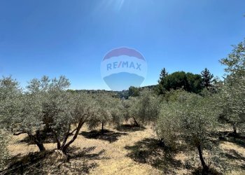 Vista delle montagne - Villa Contrada Niscima
 
snc, Caltanissetta - foto 20