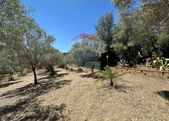 Giardino - Villa Contrada Niscima
 
snc, Caltanissetta - foto 55