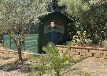 Giardino - Villa Contrada Niscima
 
snc, Caltanissetta - foto 56