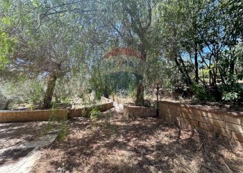 Giardino - Villa Contrada Niscima
 
snc, Caltanissetta - foto 62